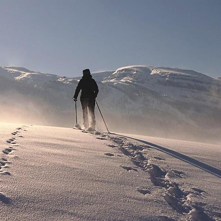 Das Grasberghaus Εξωτερικό φωτογραφία
