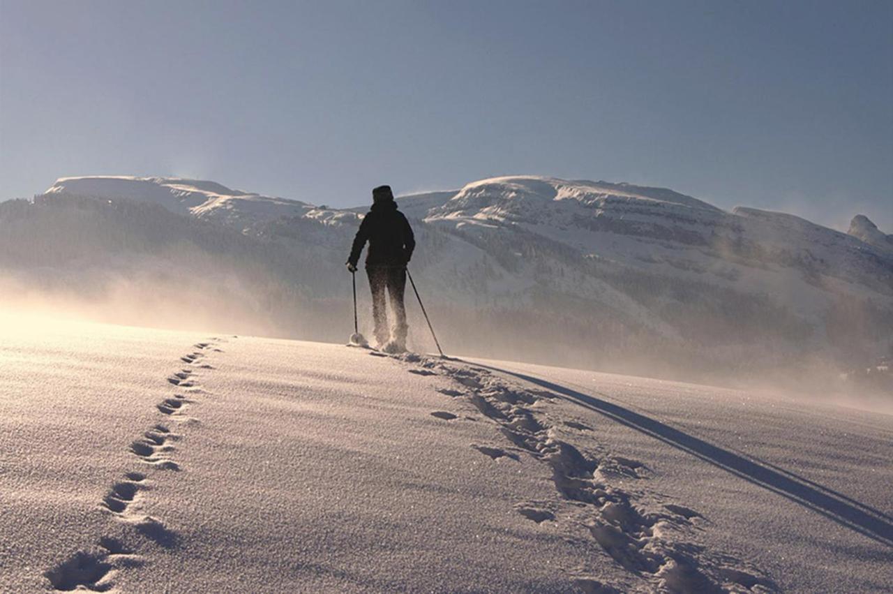 Das Grasberghaus Εξωτερικό φωτογραφία